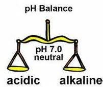 pH Blance Scales