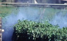 Pesticides Videos